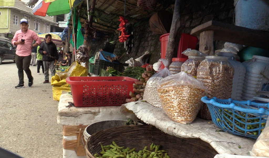 Dried Corn Seed