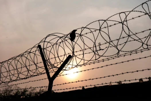 Representational Image of a Barbed Wire Fence along Indo Myanmar border