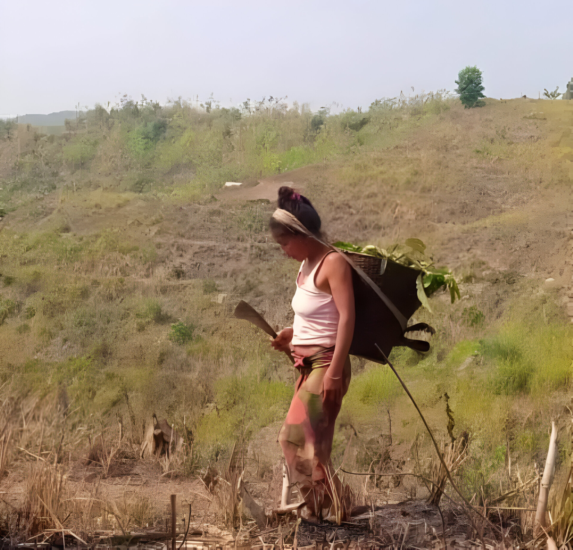 Bandarban-Mro-food-crisis-photo-1