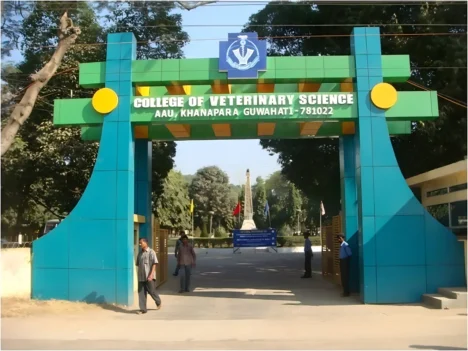 College_of_Veterinary_Science_Khanapara